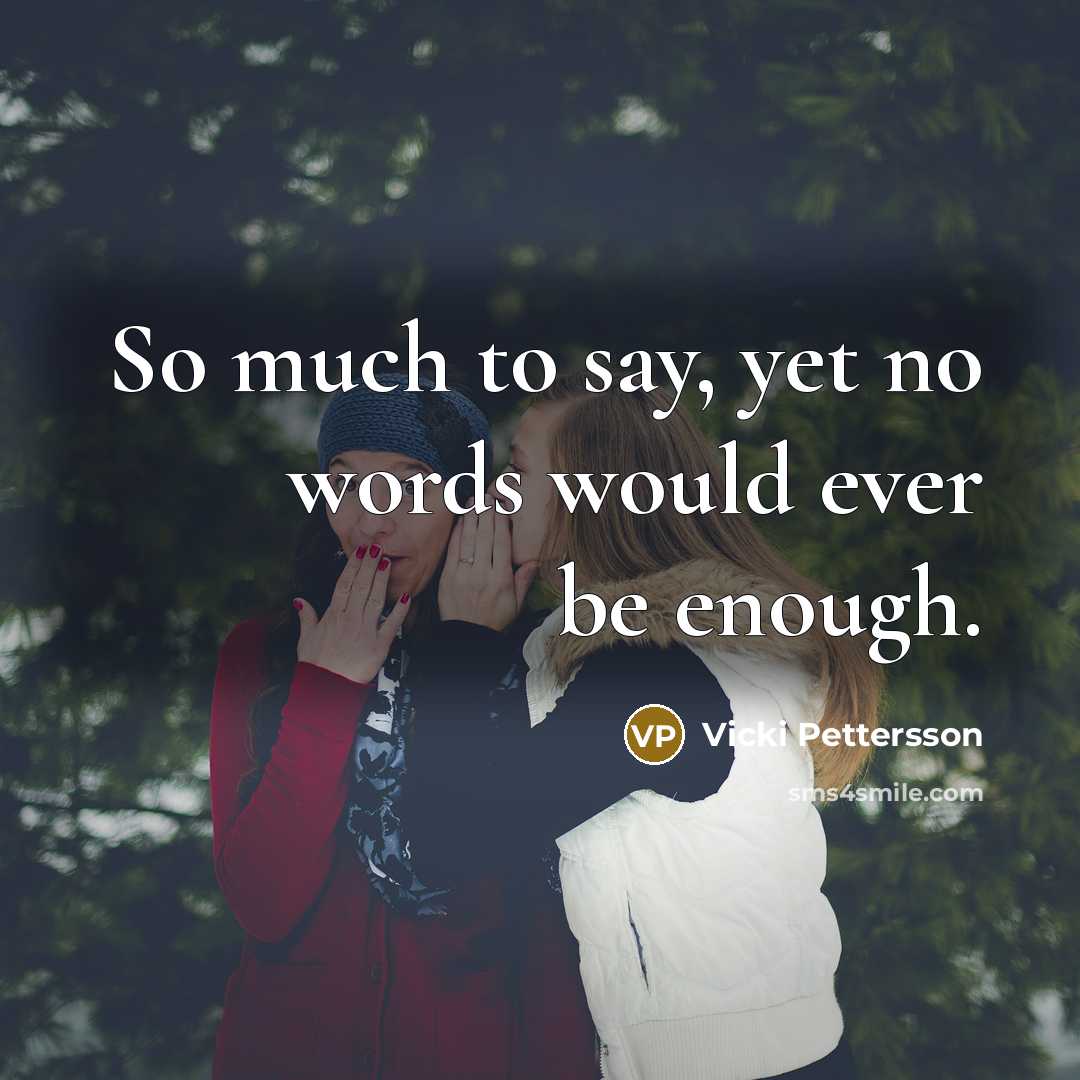 “So much to say, yet no words would ever be enough.” quote by Vicki Pettersson