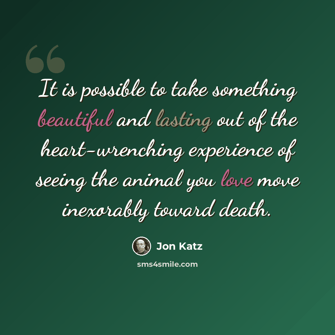 “It is possible to take something beautiful and lasting out of the heart-wrenching experience of seeing the animal you love move inexorably toward death.” quote by Jon Katz