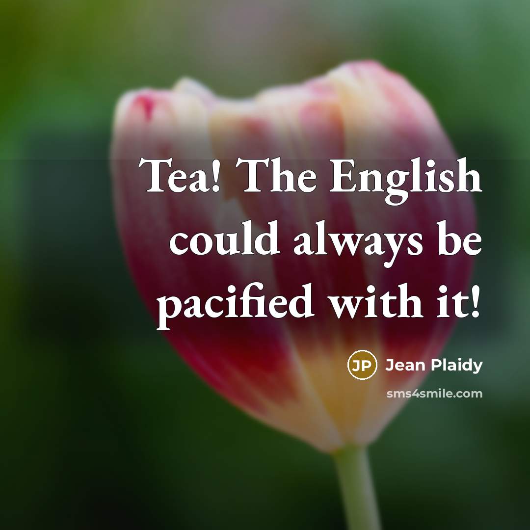 “Tea! The English could always be pacified with it!” quote by Jean Plaidy