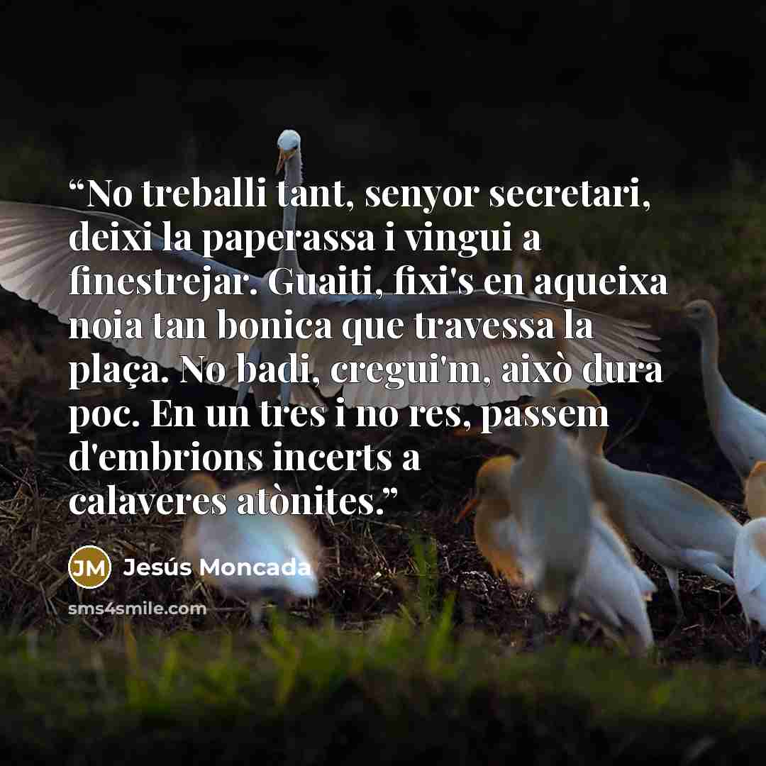 “No treballi tant, senyor secretari, deixi la paperassa i vingui a finestrejar. Guaiti, fixi's en aqueixa noia tan bonica que travessa la plaça. No badi, cregui'm, això dura poc. En un tres i no res, passem d'embrions incerts a calaveres atònites.” quote by Jesús Moncada