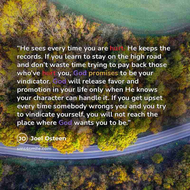 “He sees every time you are hurt. He keeps the records. If you learn to stay on the high road and don’t waste time trying to pay back those who’ve hurt you, God promises to be your vindicator. God will release favor and promotion in your life only when He knows your character can handle it. If you…” quote by Joel Osteen