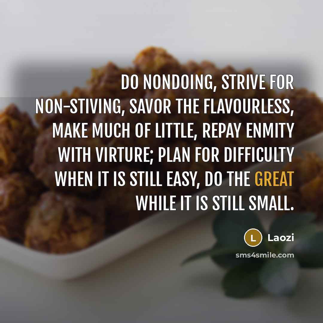 “Do nondoing, strive for non-stiving, savor the flavourless, make much of little, repay enmity with virture; plan for difficulty when it is still easy, do the great while it is still small.” quote by Laozi
