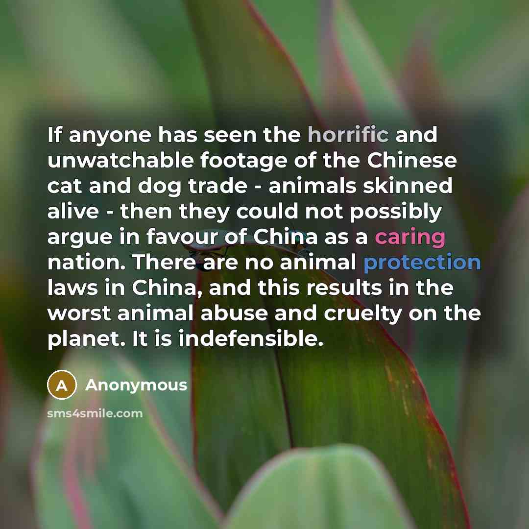 “If anyone has seen the horrific and unwatchable footage of the Chinese cat and dog trade - animals skinned alive - then they could not possibly argue in favour of China as a caring nation. There are no animal protection laws in China, and this results in the worst animal abuse and cruelty on the…” quote by Anonymous