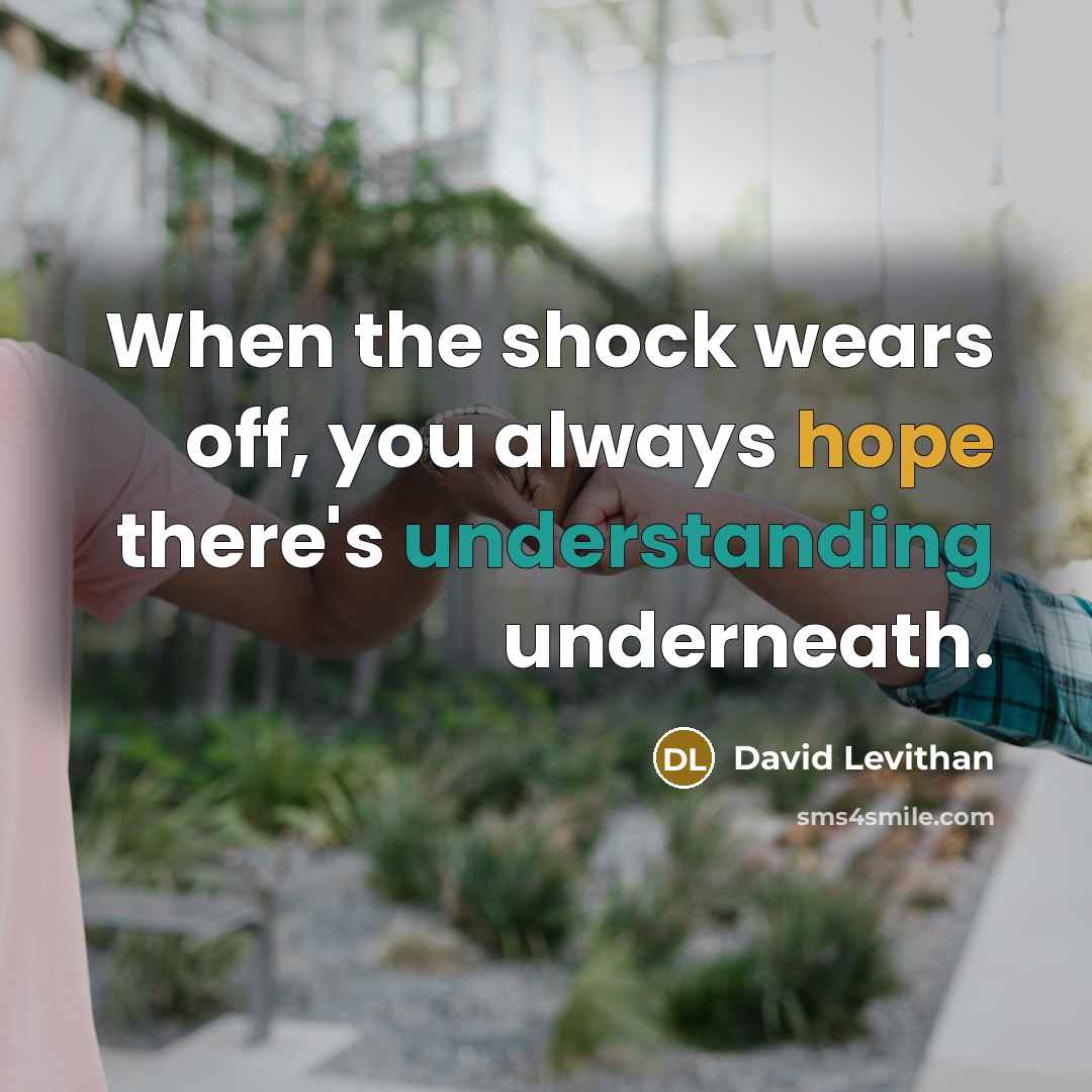 “When the shock wears off, you always hope there's understanding underneath.” quote by David Levithan