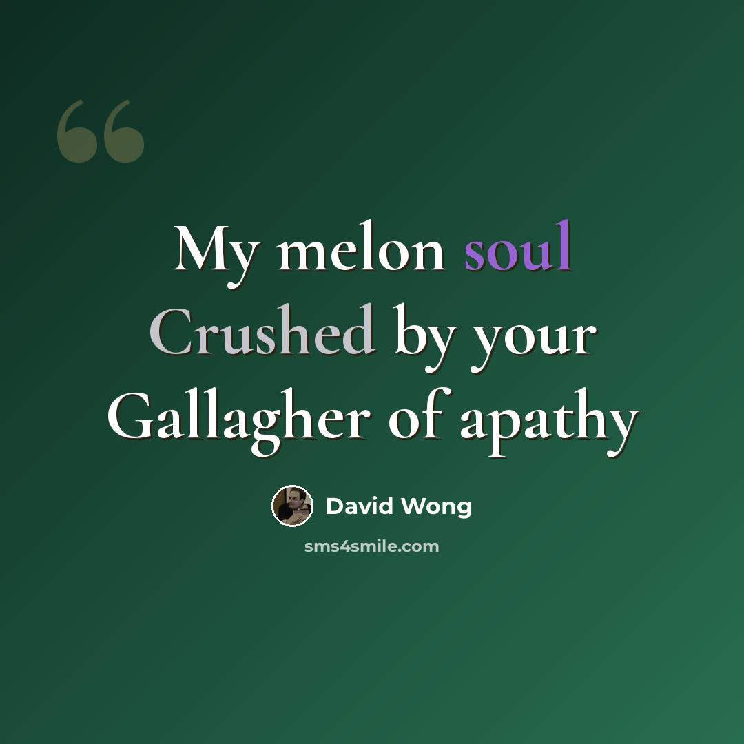 “My melon soul Crushed by your Gallagher of apathy” quote by David Wong