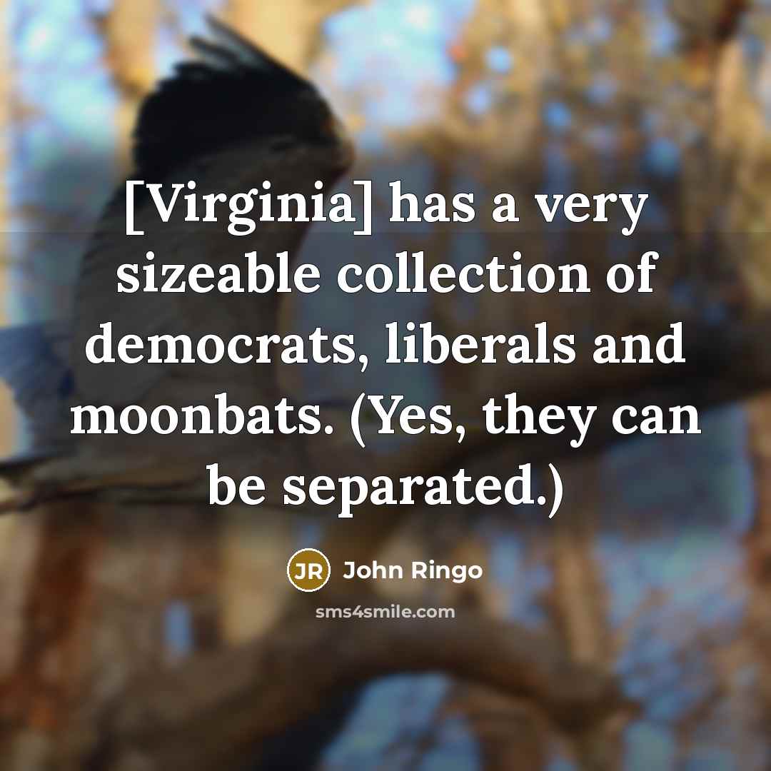 “[Virginia] has a very sizeable collection of democrats, liberals and moonbats. (Yes, they can be separated.)” quote by John Ringo