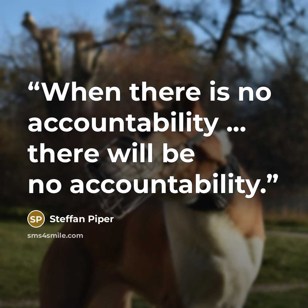 “‎When there is no accountability ... there will be no accountability.” quote by Steffan Piper