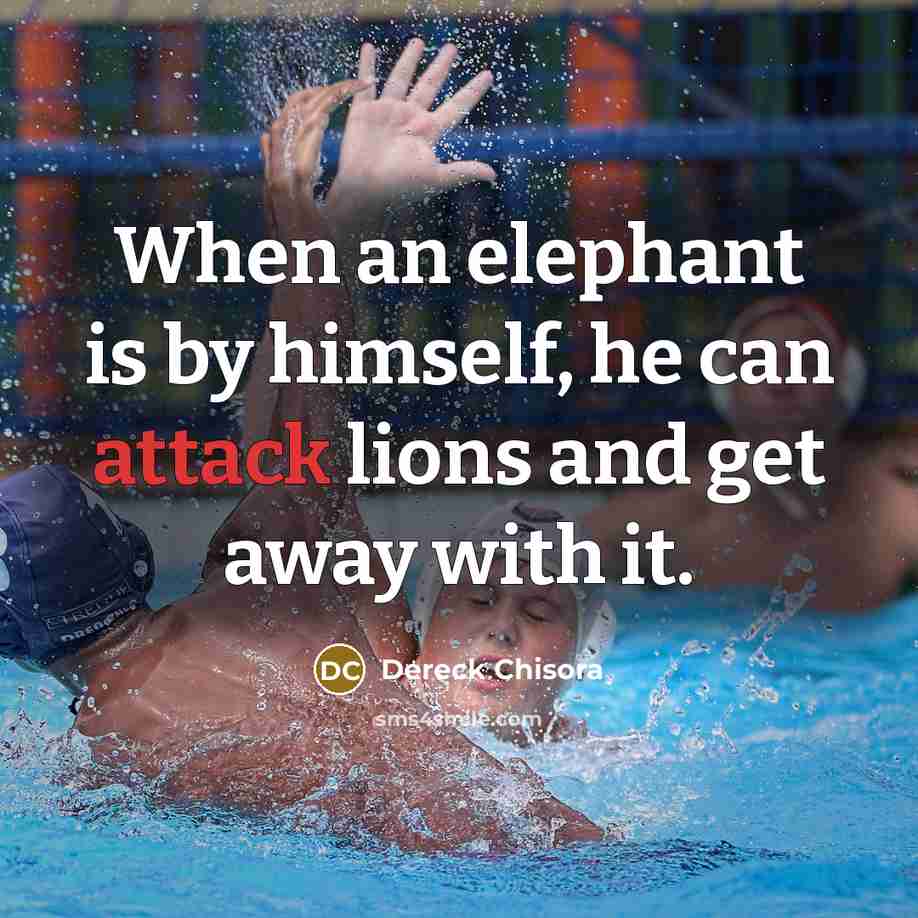 “When an elephant is by himself, he can attack lions and get away with it.” quote by Dereck Chisora