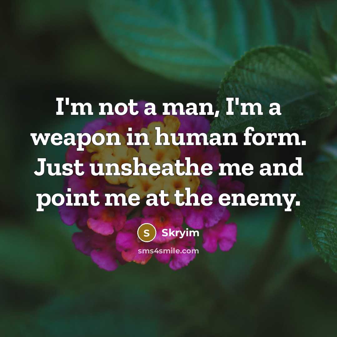 “I'm not a man, I'm a weapon in human form. Just unsheathe me and point me at the enemy.” quote by Skryim