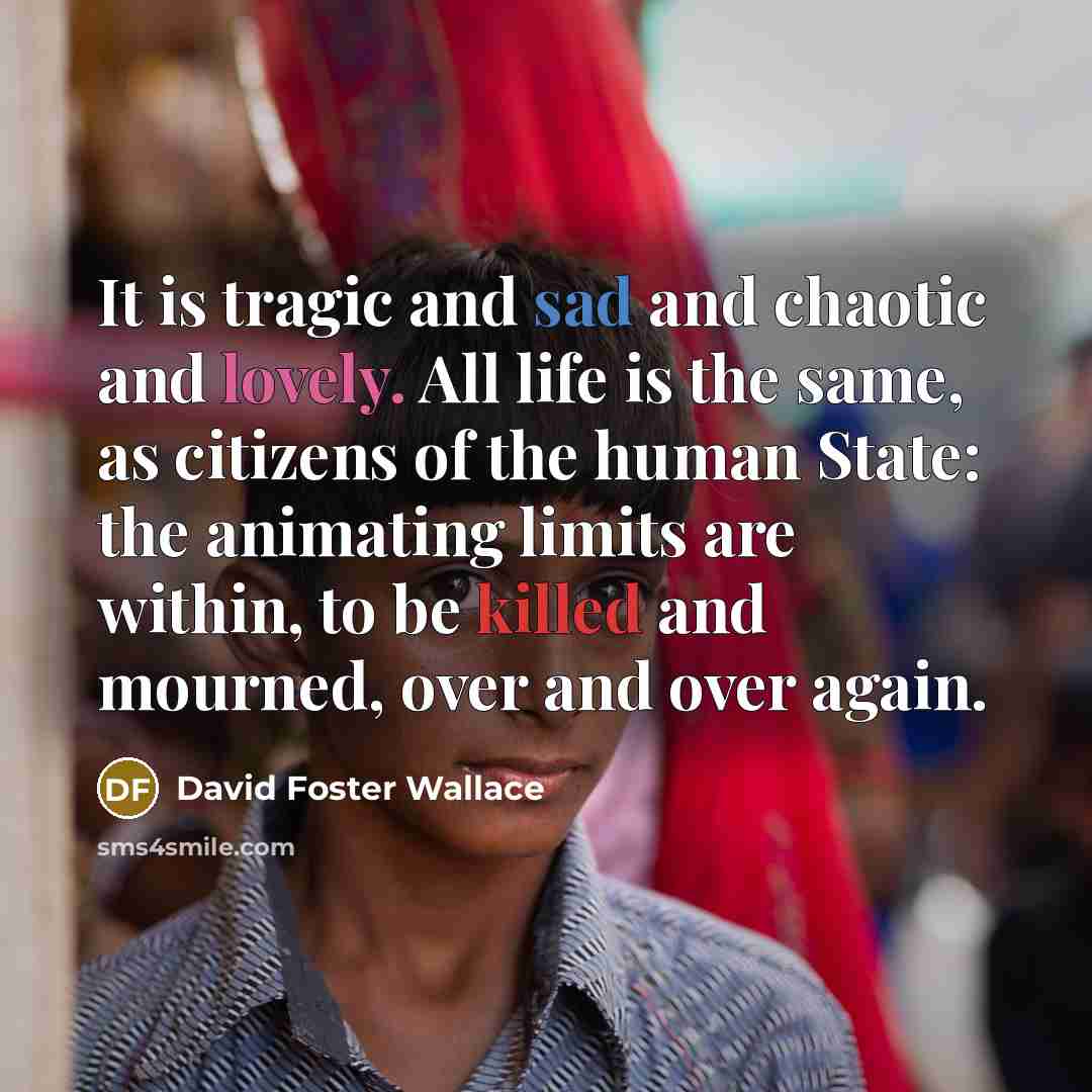 “It is tragic and sad and chaotic and lovely. All life is the same, as citizens of the human State: the animating limits are within, to be killed and mourned, over and over again.” quote by David Foster Wallace
