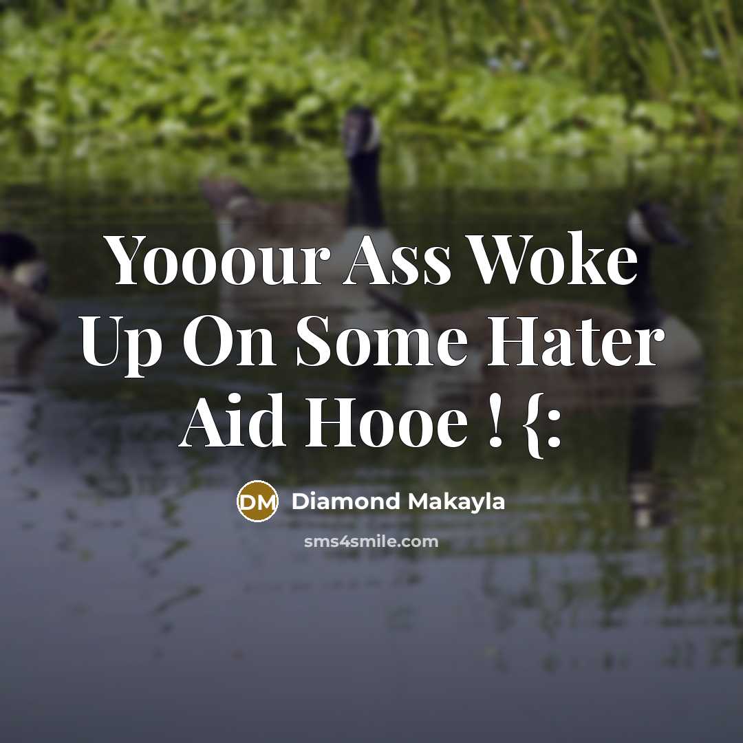 “Yooour Ass Woke Up On Some Hater Aid Hooe ! {:” quote by Diamond Makayla