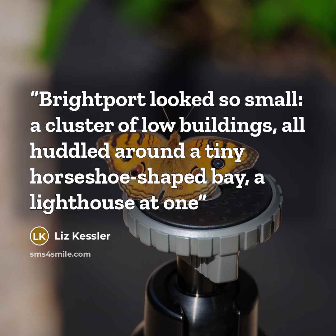 “Brightport looked so small: a cluster of low buildings, all huddled around a tiny horseshoe-shaped bay, a lighthouse at one” quote by Liz Kessler