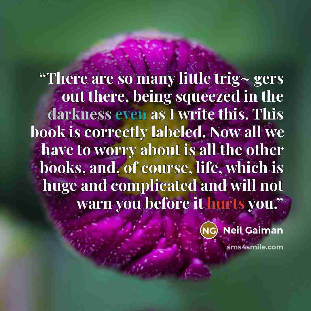 “There are so many little trig~ gers out there, being squeezed in the darkness even as I write this. This book is correctly labeled. Now all we have to worry about is all the other books, and, of course, life, which is huge and complicated and will not warn you before it hurts you.” quote by Neil Gaiman
