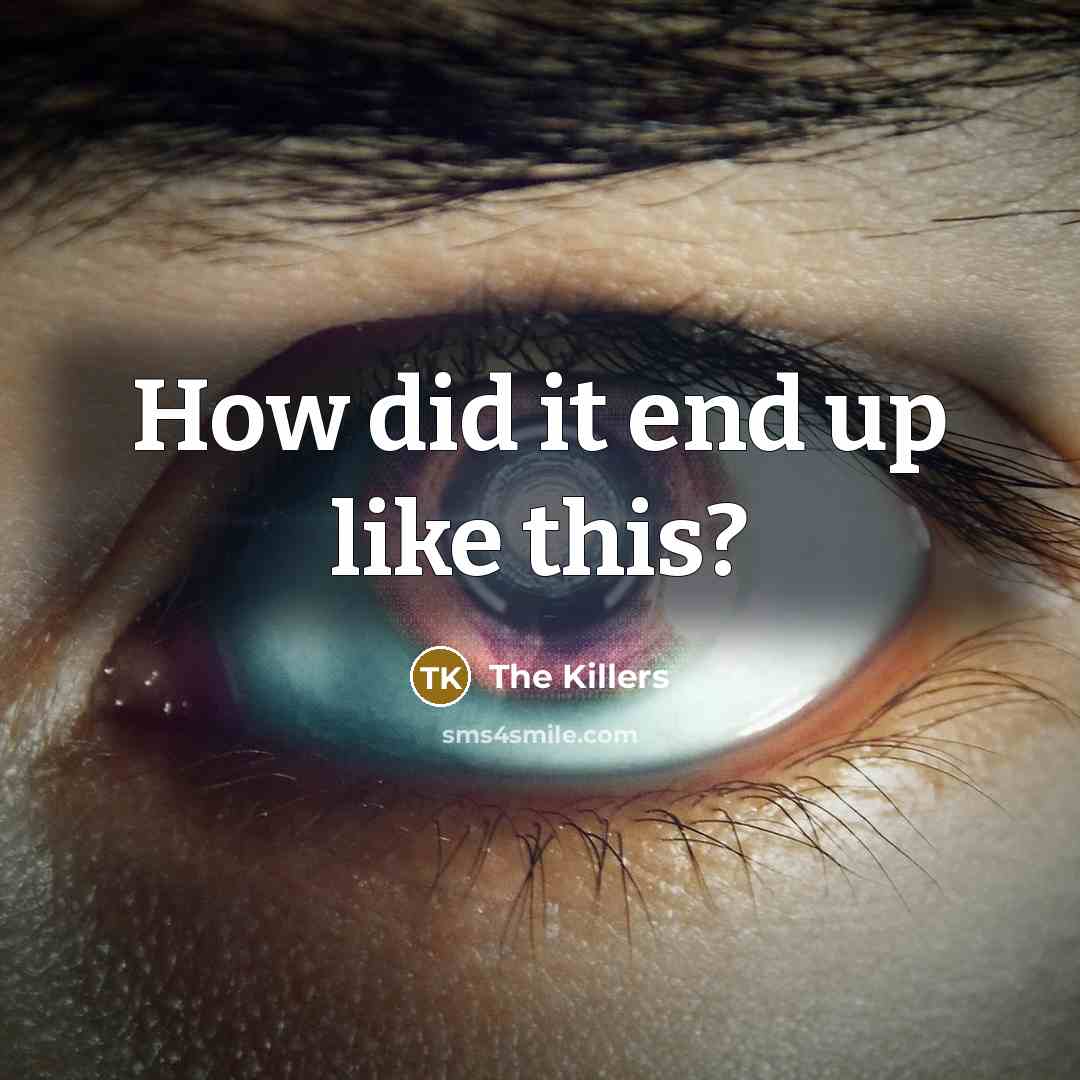 “How did it end up like this?” quote by The Killers