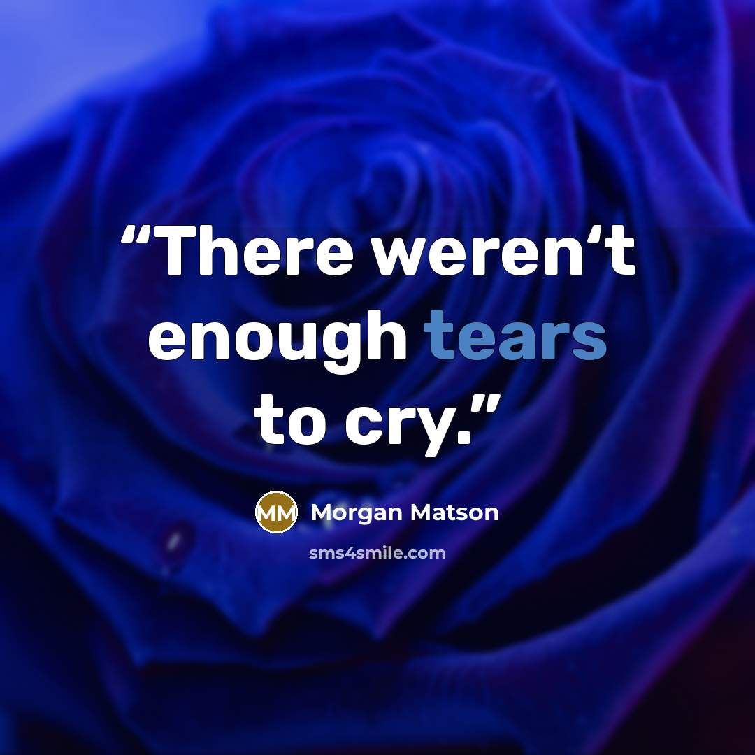 “There weren‘t enough tears to cry.” quote by Morgan Matson
