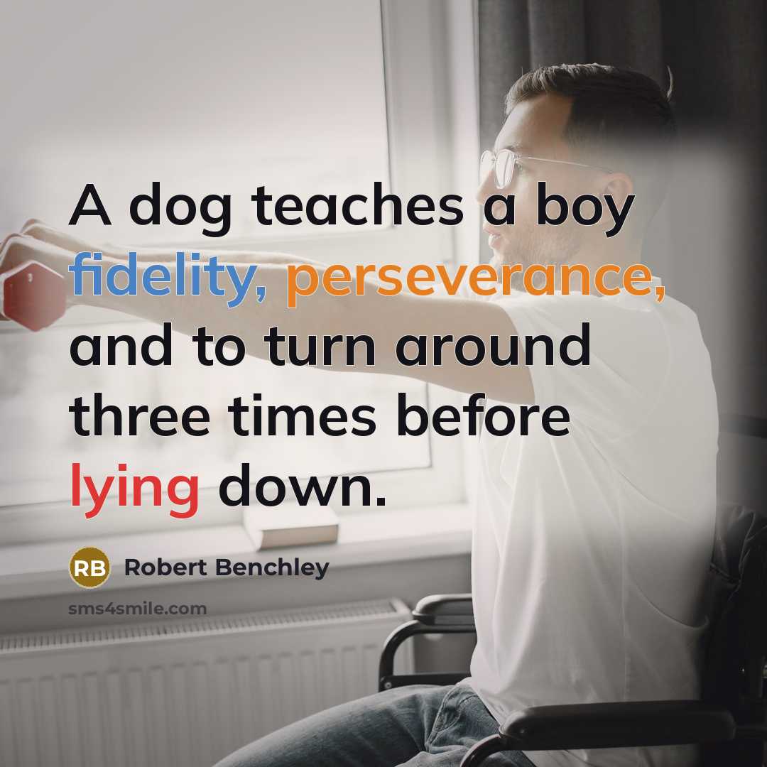 “A dog teaches a boy fidelity, perseverance, and to turn around three times before lying down.” quote by Robert Benchley