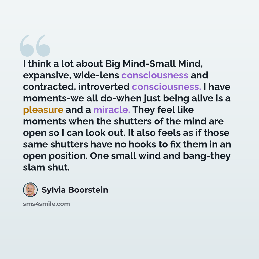 “I think a lot about Big Mind-Small Mind, expansive, wide-lens consciousness and contracted, introverted consciousness. I have moments-we all do-when just being alive is a pleasure and a miracle. They feel like moments when the shutters of the mind are open so I can look out. It also feels as if…” quote by Sylvia Boorstein