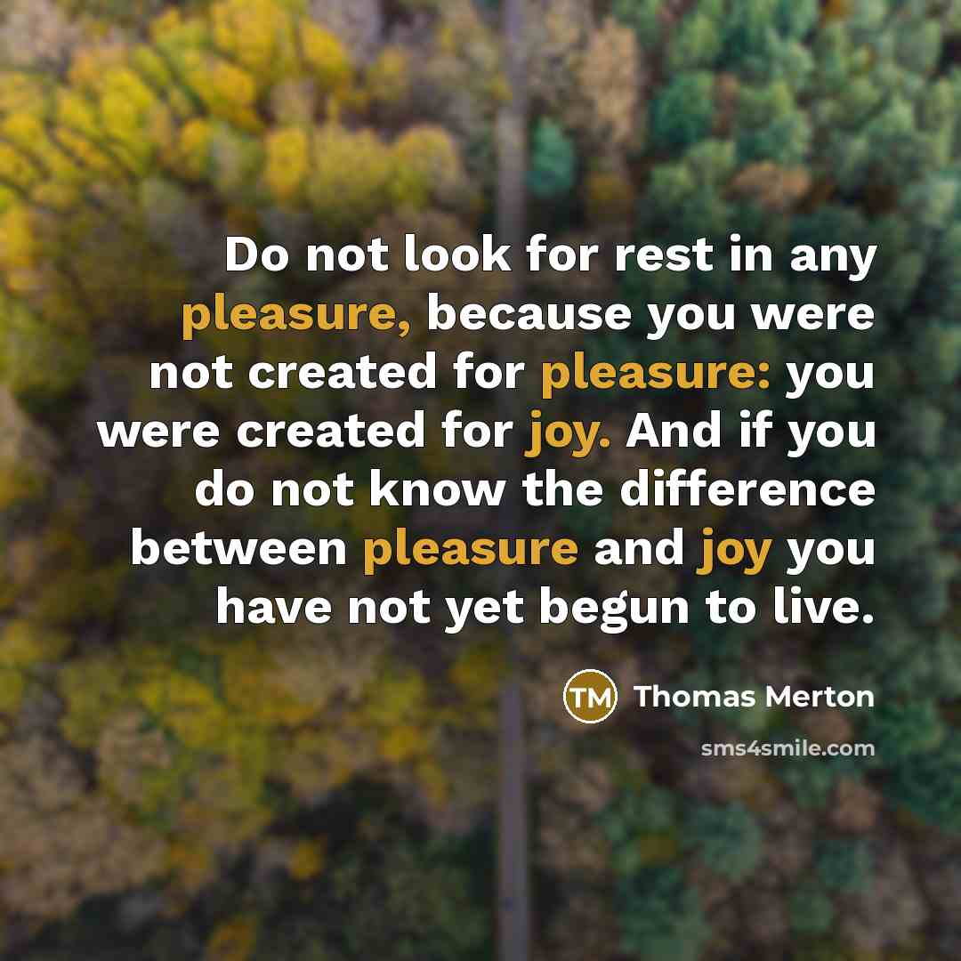 “Do not look for rest in any pleasure, because you were not created for pleasure: you were created for joy. And if you do not know the difference between pleasure and joy you have not yet begun to live.” quote by Thomas Merton