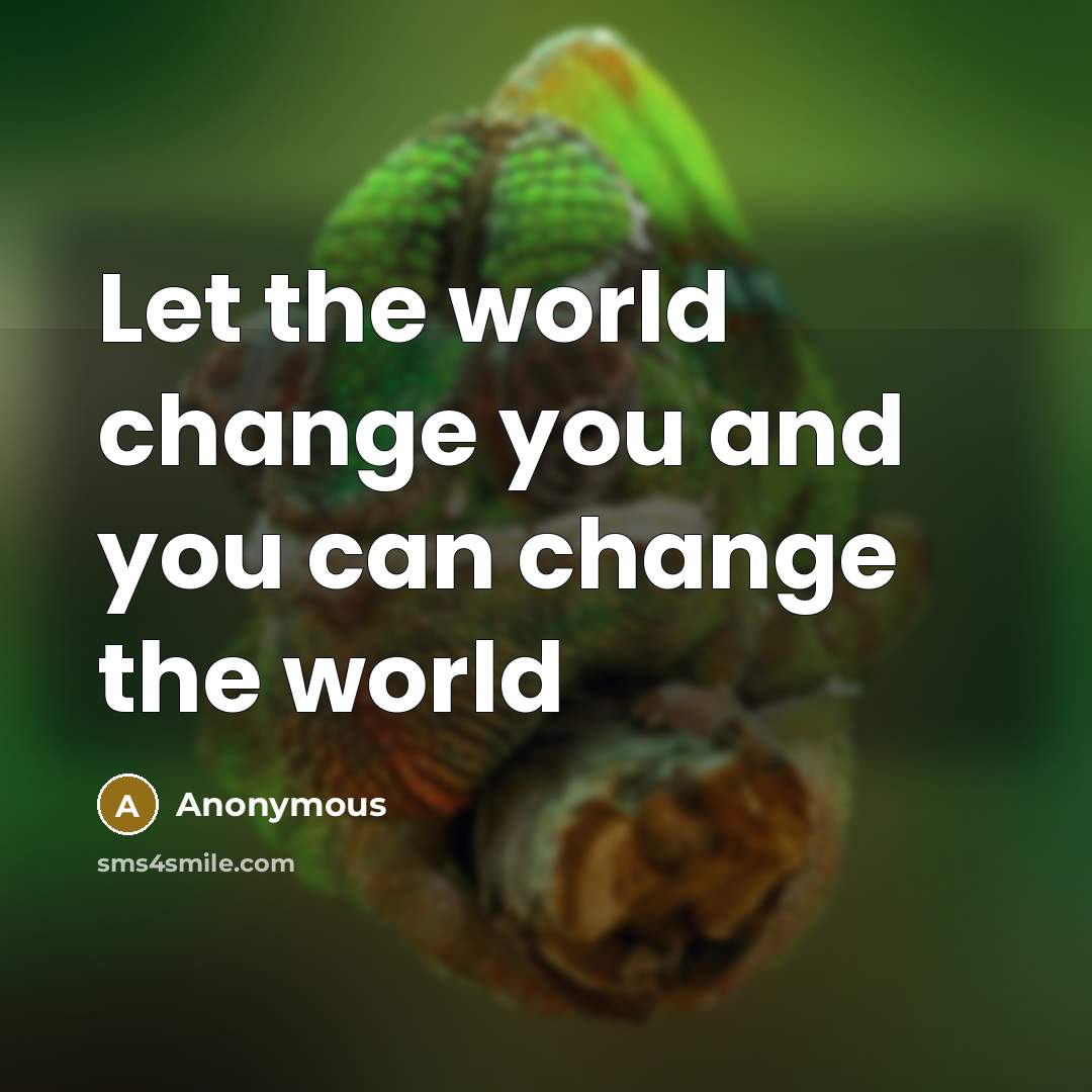 “Let the world change you and you can change the world” quote by Anonymous