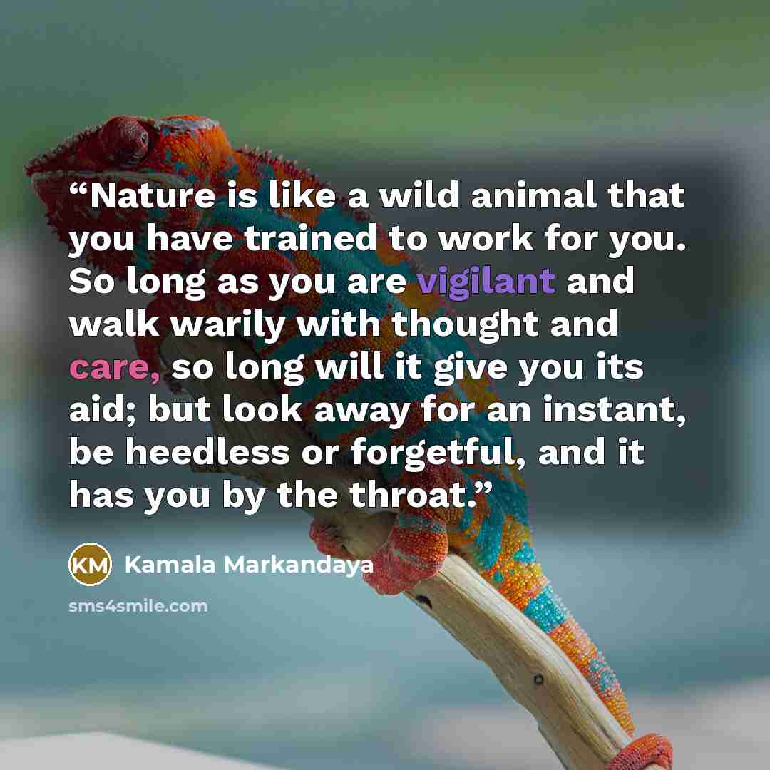 “Nature is like a wild animal that you have trained to work for you. So long as you are vigilant and walk warily with thought and care, so long will it give you its aid; but look away for an instant, be heedless or forgetful, and it has you by the throat.” quote by Kamala Markandaya