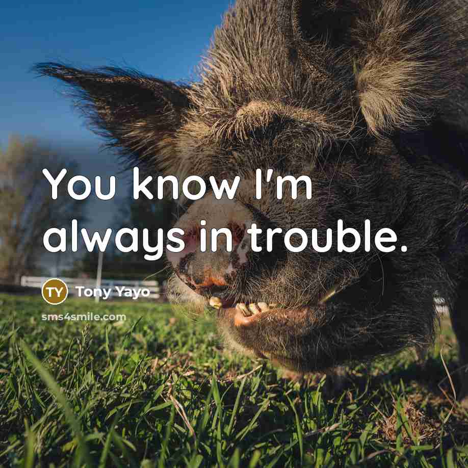 “You know I'm always in trouble.” quote by Tony Yayo