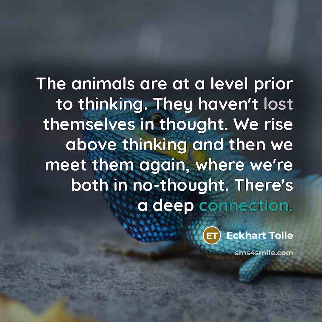 “The animals are at a level prior to thinking. They haven't lost themselves in thought. We rise above thinking and then we meet them again, where we're both in no-thought. There's a deep connection.” quote by Eckhart Tolle