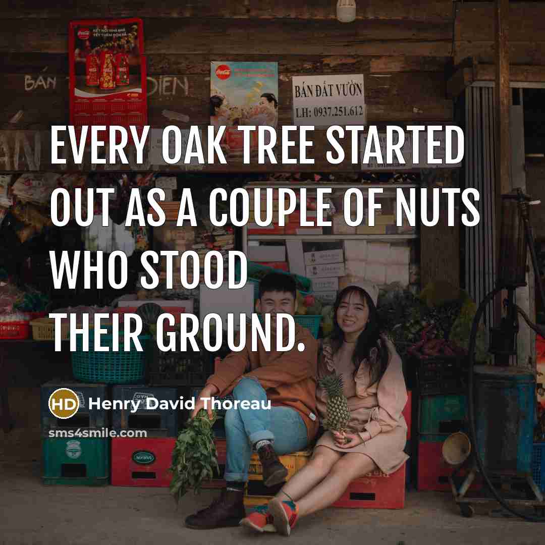 “Every oak tree started out as a couple of nuts who stood their ground.” quote by Henry David Thoreau