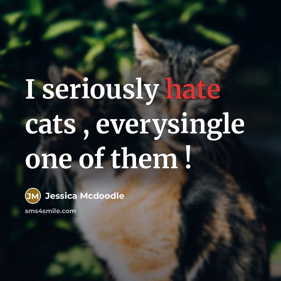 “I seriously hate cats , everysingle one of them !” quote by Jessica Mcdoodle