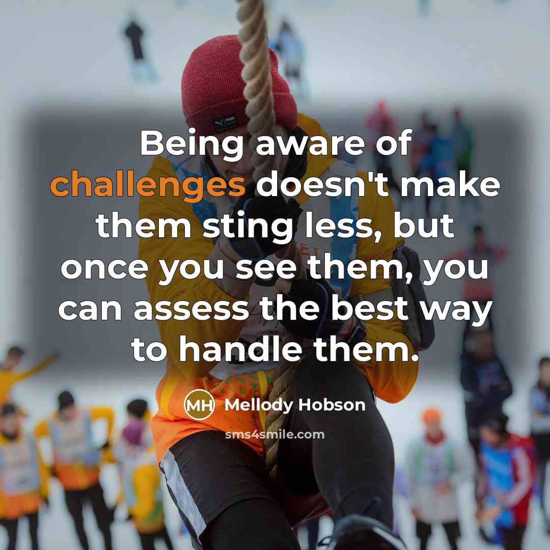 “Being aware of challenges doesn't make them sting less, but once you see them, you can assess the best way to handle them.” quote by Mellody Hobson