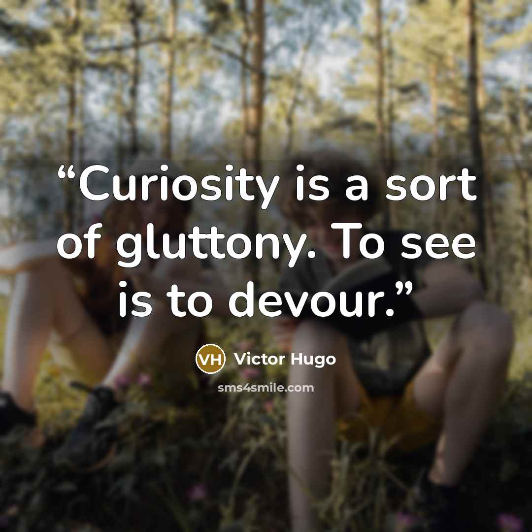 “Curiosity is a sort of gluttony. To see is to devour.” quote by Victor Hugo