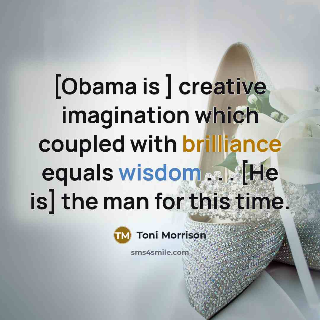 “[Obama is ] creative imagination which coupled with brilliance equals wisdom . . . [He is] the man for this time.” quote by Toni Morrison