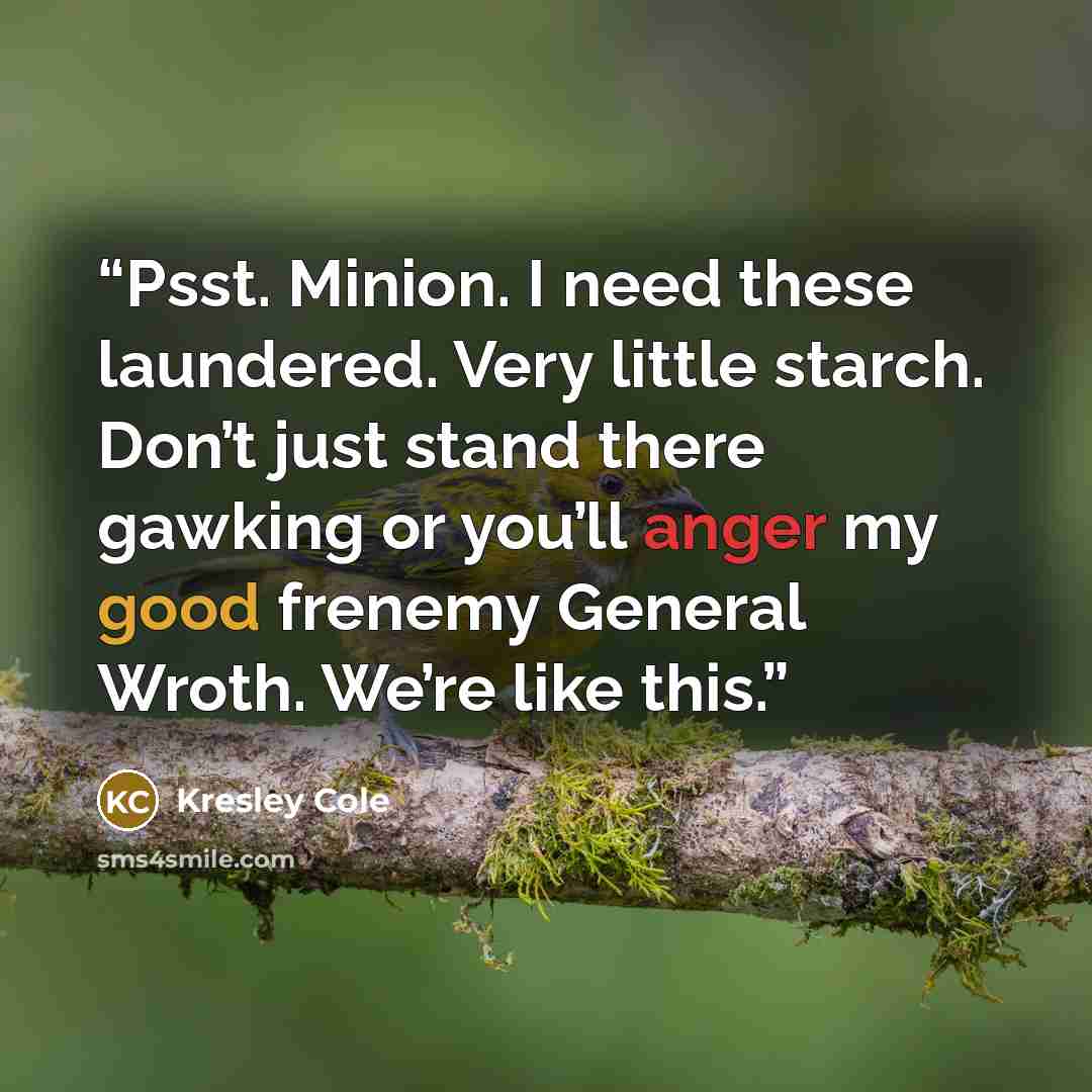 “Psst. Minion. I need these laundered. Very little starch. Don’t just stand there gawking or you’ll anger my good frenemy General Wroth. We’re like this.” quote by Kresley Cole