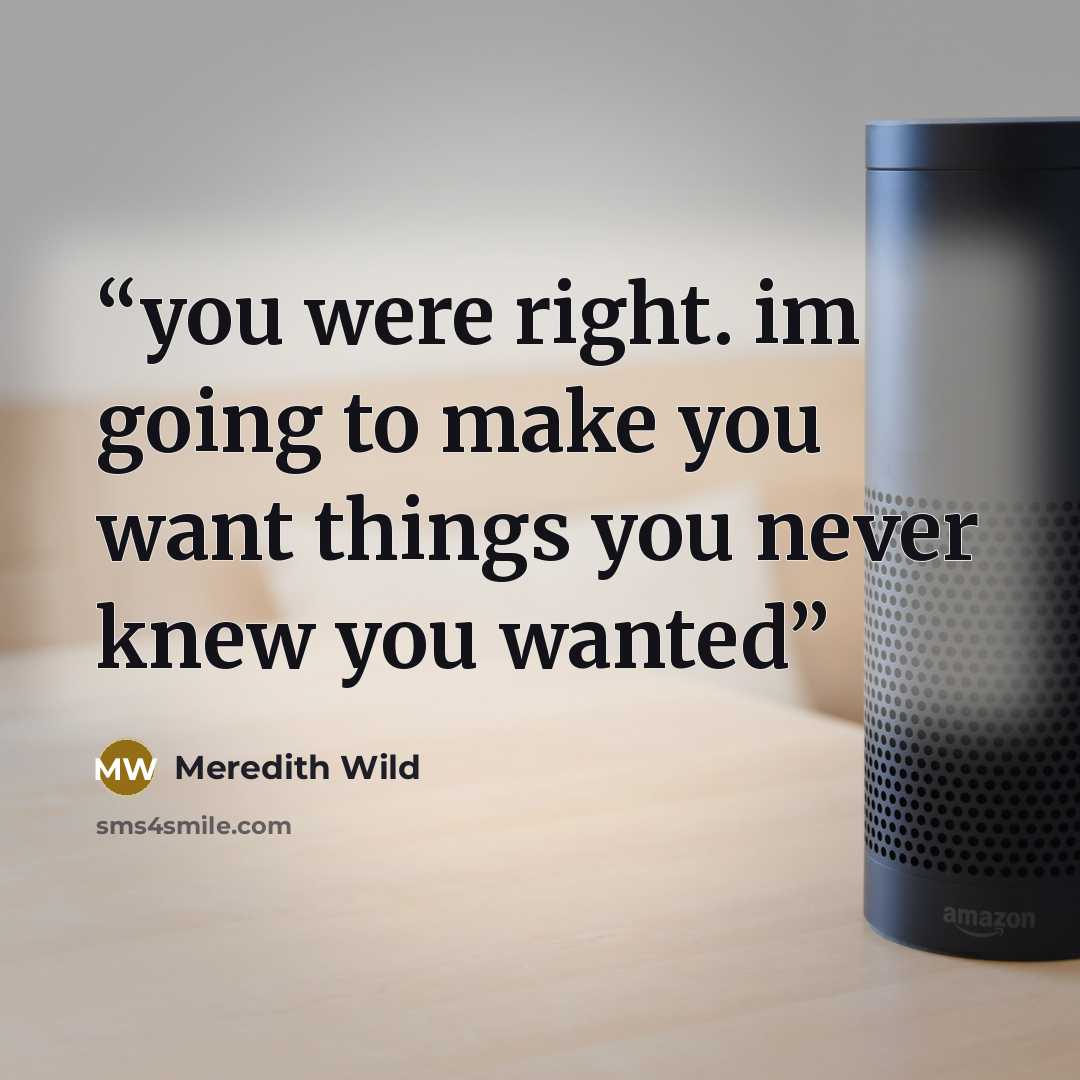 “you were right. im going to make you want things you never knew you wanted” quote by Meredith Wild