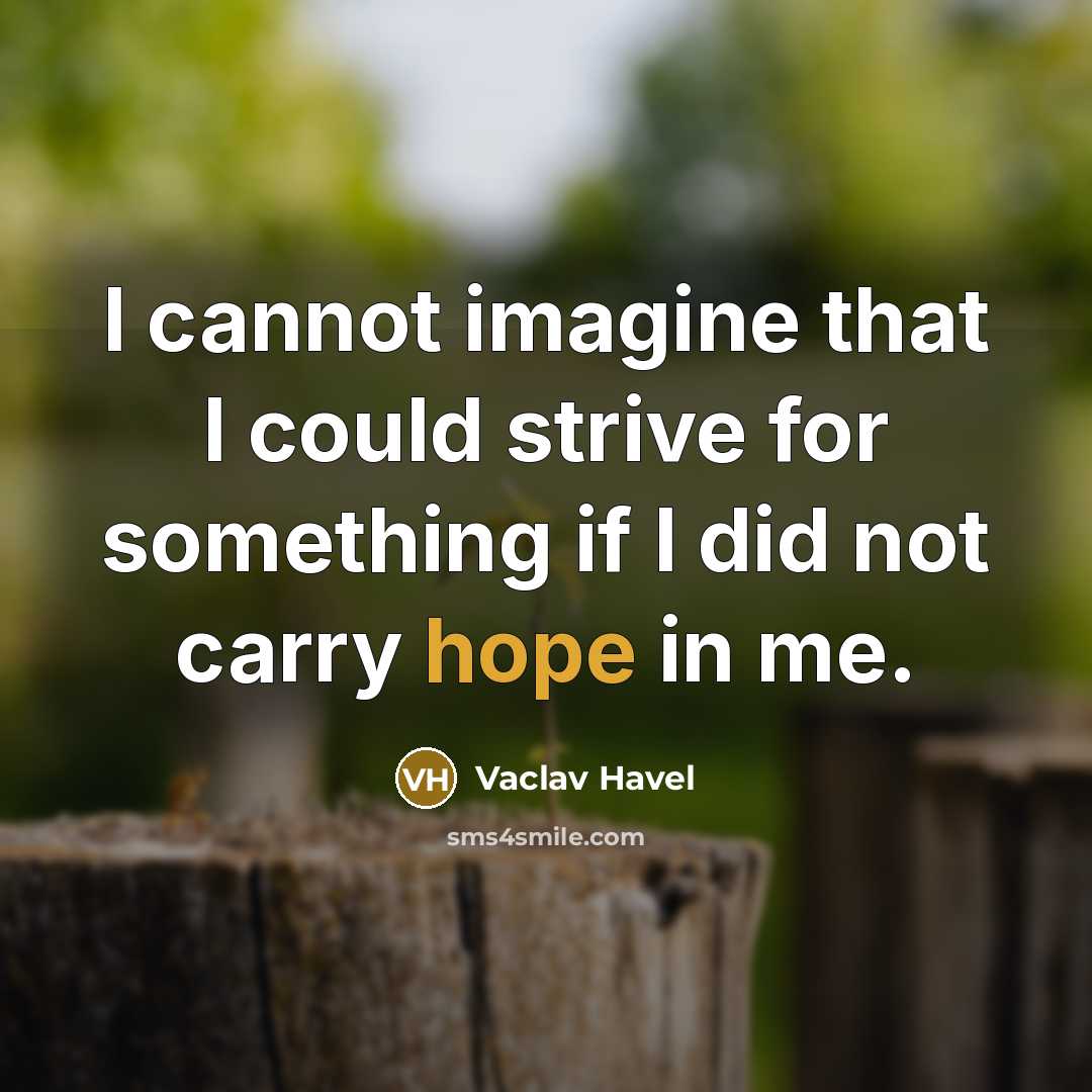“I cannot imagine that I could strive for something if I did not carry hope in me.” quote by Vaclav Havel