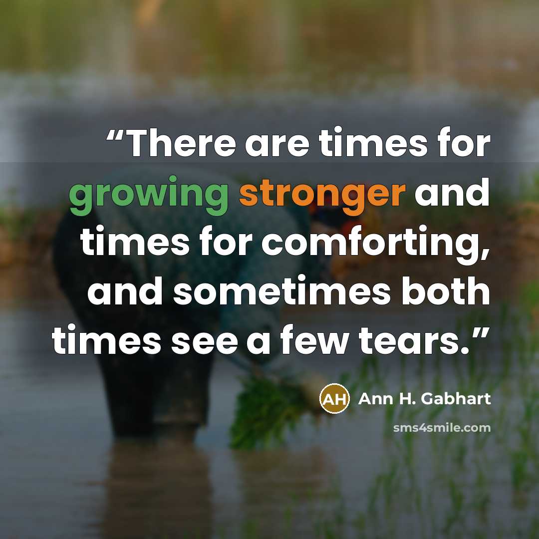 “There are times for growing stronger and times for comforting, and sometimes both times see a few tears.” quote by Ann H. Gabhart