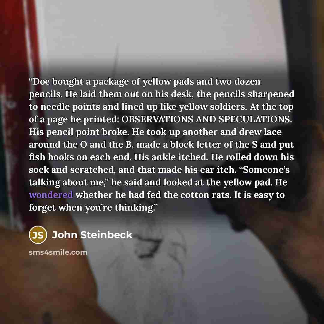 “Doc bought a package of yellow pads and two dozen pencils. He laid them out on his desk, the pencils sharpened to needle points and lined up like yellow soldiers. At the top of a page he printed: OBSERVATIONS AND SPECULATIONS. His pencil point broke. He took up another and drew lace around the O…” quote by John Steinbeck