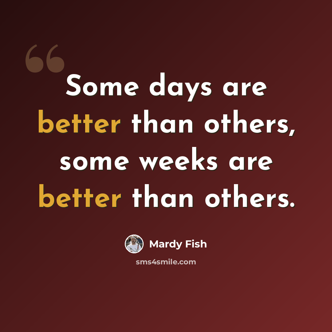 “Some days are better than others, some weeks are better than others.” quote by Mardy Fish