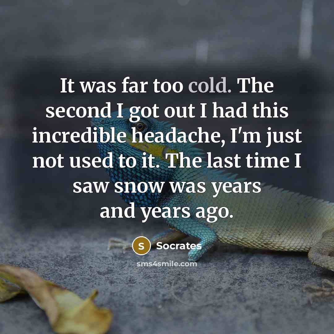 “It was far too cold. The second I got out I had this incredible headache, I'm just not used to it. The last time I saw snow was years and years ago.” quote by Socrates