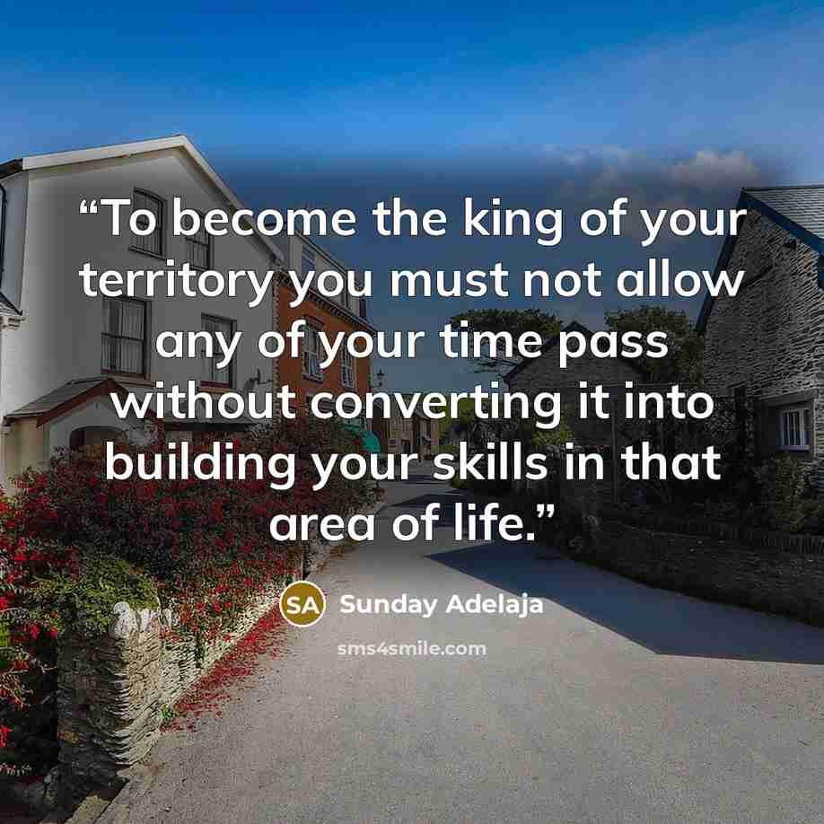 “To become the king of your territory you must not allow any of your time pass without converting it into building your skills in that area of life.” quote by Sunday Adelaja