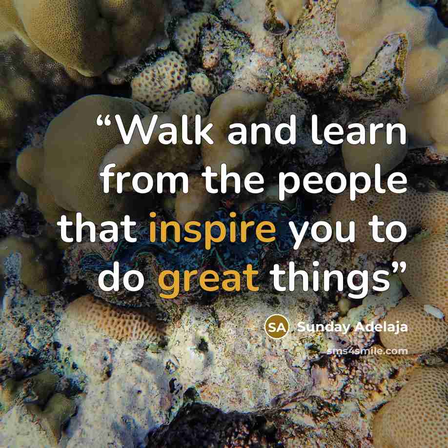 “Walk and learn from the people that inspire you to do great things” quote by Sunday Adelaja