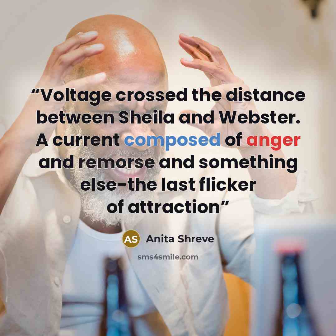 “Voltage crossed the distance between Sheila and Webster. A current composed of anger and remorse and something else-the last flicker of attraction” quote by Anita Shreve