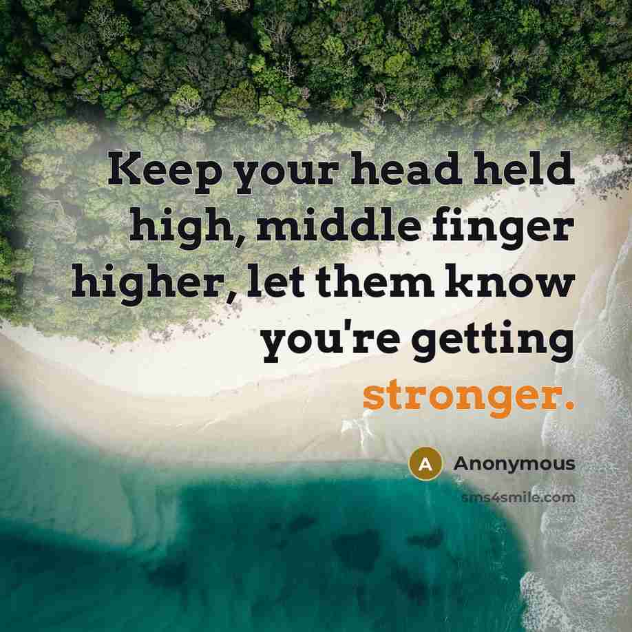 “Keep your head held high, middle finger higher, let them know you're getting stronger.” quote by Anonymous