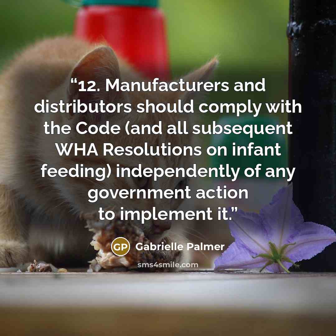 “12. Manufacturers and distributors should comply with the Code (and all subsequent WHA Resolutions on infant feeding) independently of any government action to implement it.” quote by Gabrielle Palmer