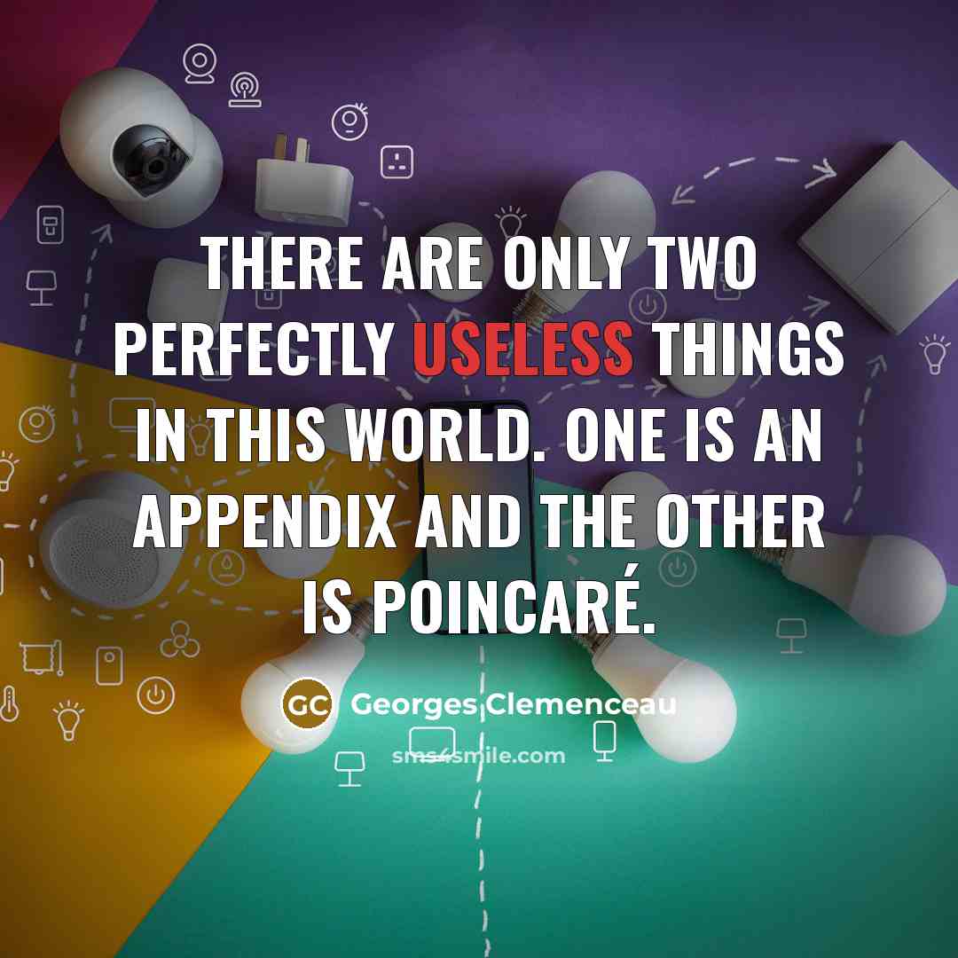 “There are only two perfectly useless things in this world. One is an appendix and the other is Poincaré.” quote by Georges Clemenceau
