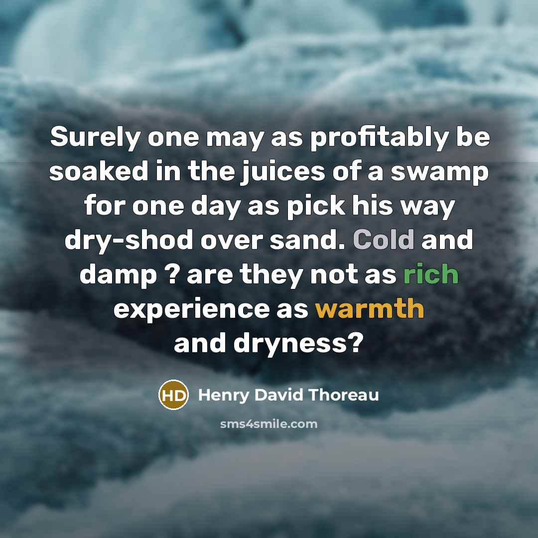 “Surely one may as profitably be soaked in the juices of a swamp for one day as pick his way dry-shod over sand. Cold and damp ? are they not as rich experience as warmth and dryness?” quote by Henry David Thoreau