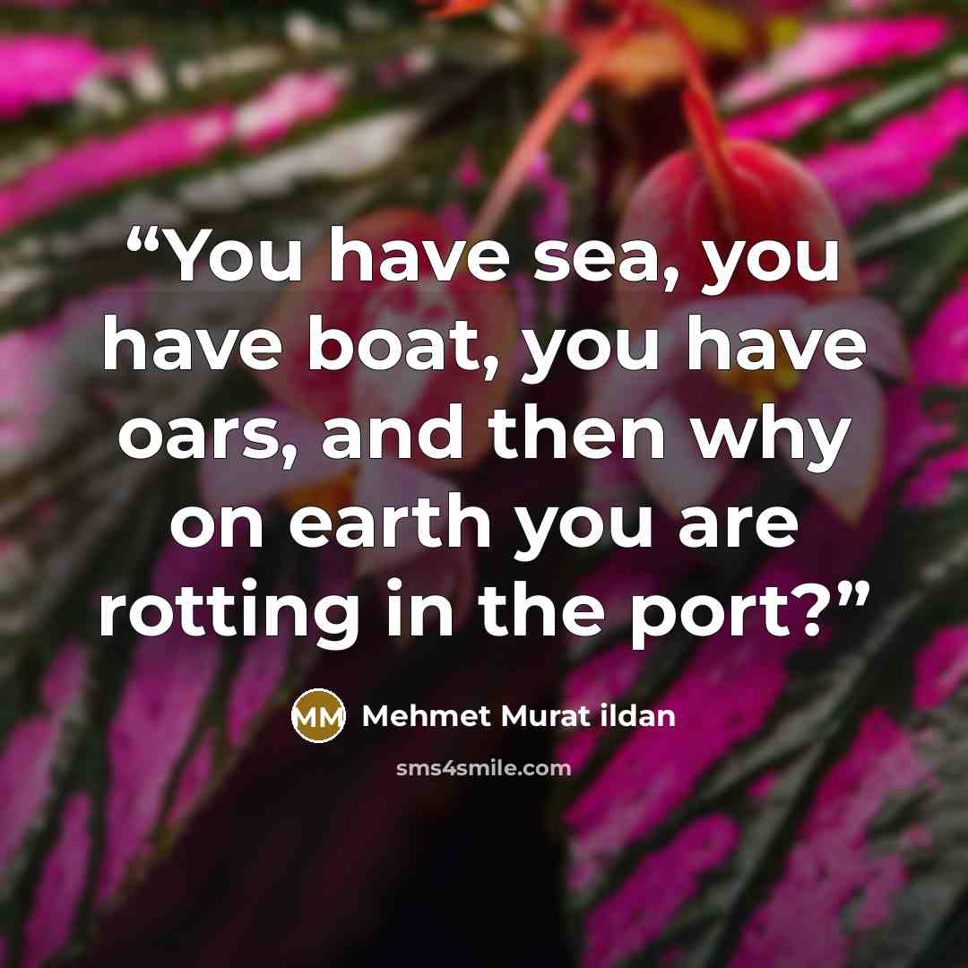 “You have sea, you have boat, you have oars, and then why on earth you are rotting in the port?” quote by Mehmet Murat ildan