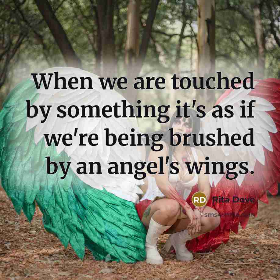 “When we are touched by something it's as if we're being brushed by an angel's wings.” quote by Rita Dove
