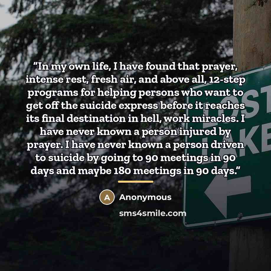 “In my own life, I have found that prayer, intense rest, fresh air, and above all, 12-step programs for helping persons who want to get off the suicide express before it reaches its final destination in hell, work miracles. I have never known a person injured by prayer. I have never known a person…” quote by Anonymous