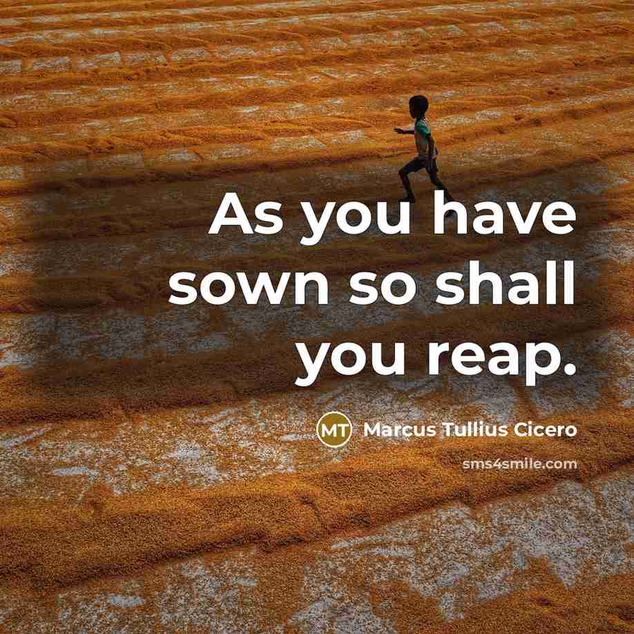 “As you have sown so shall you reap.” quote by Marcus Tullius Cicero