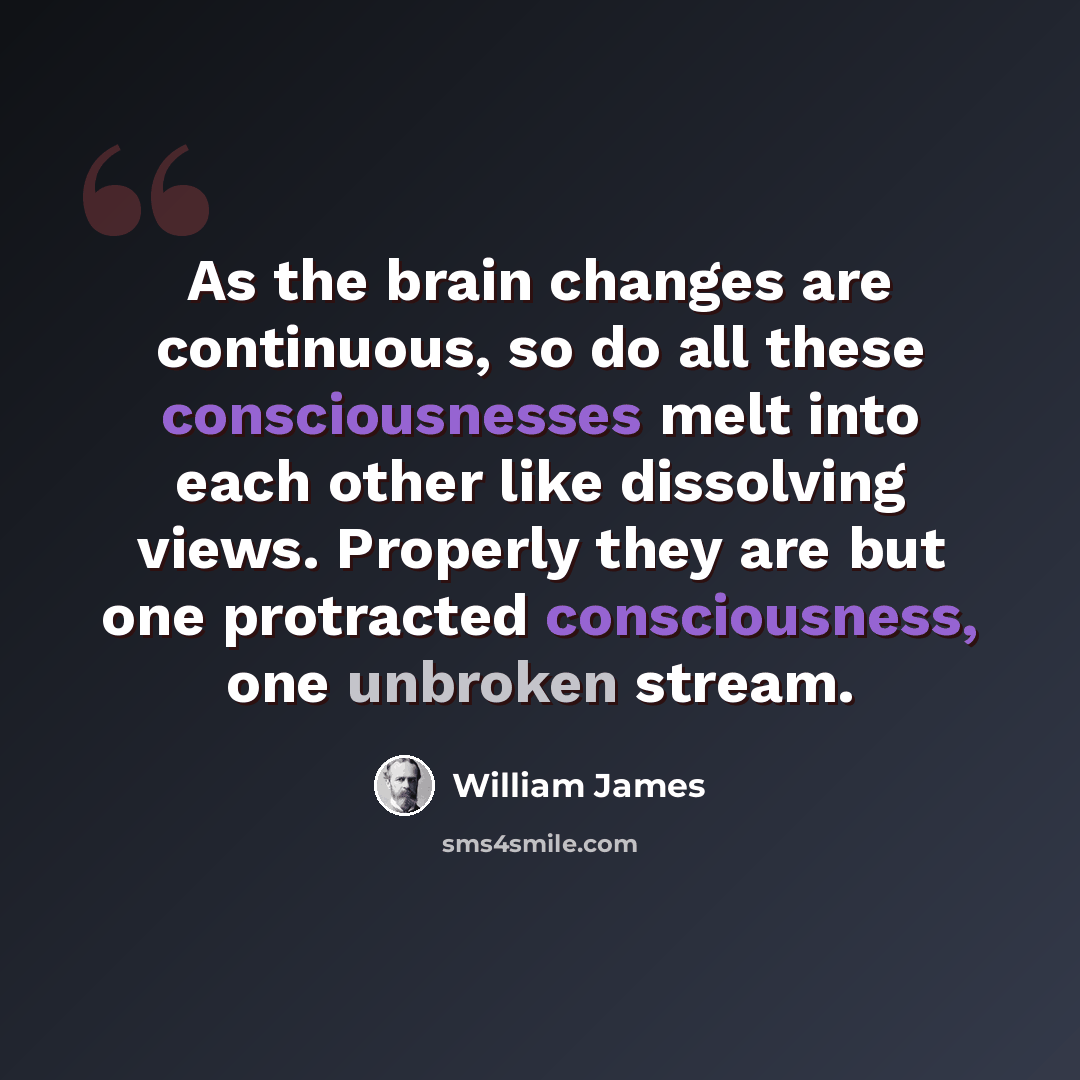 “As the brain changes are continuous, so do all these consciousnesses melt into each other like dissolving views. Properly they are but one protracted consciousness, one unbroken stream.” quote by William James